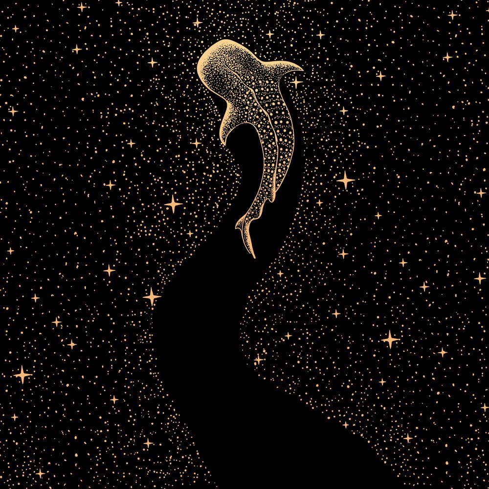 Cosmic Whale Shark by Alirıza ÇAKIR