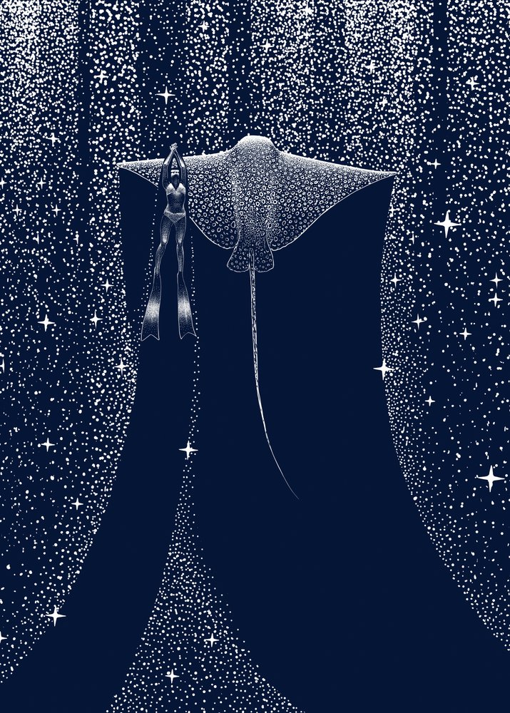 Starlit Ray Companion by Alirıza ÇAKIR