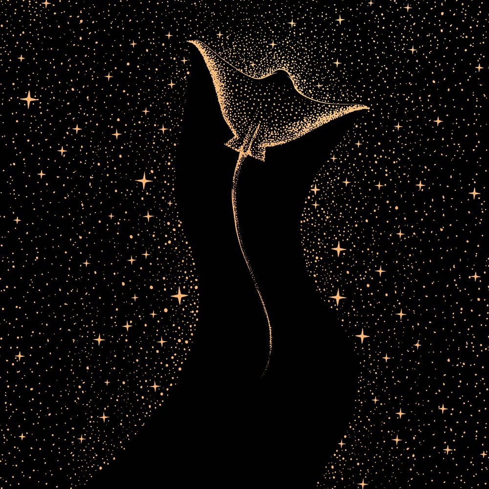 Starry Manta Ray by Alirıza ÇAKIR
