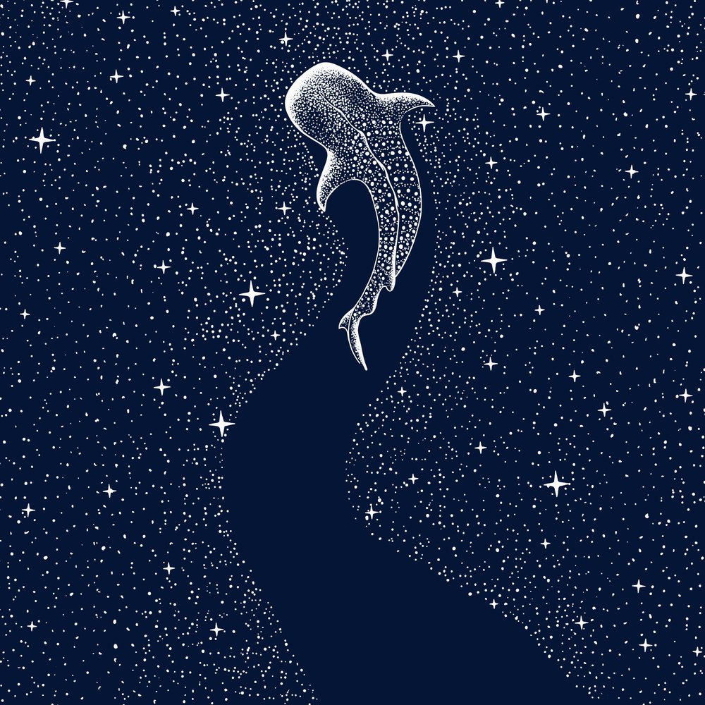 Starry Whale Shark by Alirıza ÇAKIR