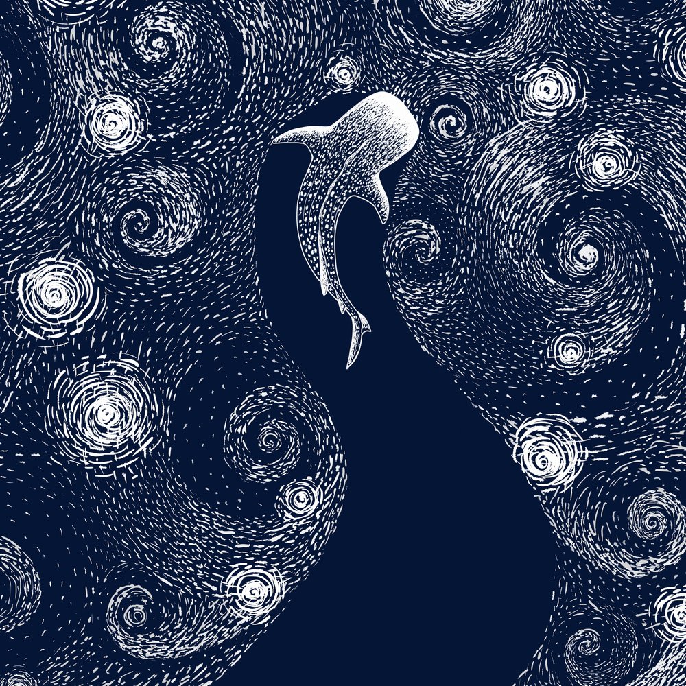 Whale Shark Starry Ocean by Alirıza ÇAKIR