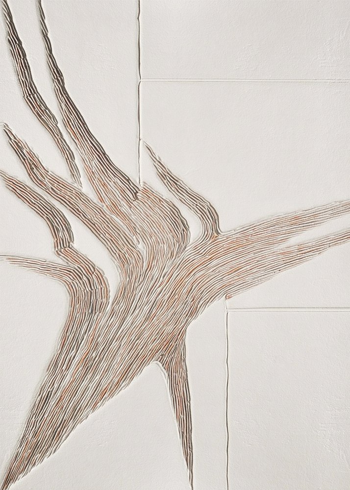 Flowing Organic Lines by Alma