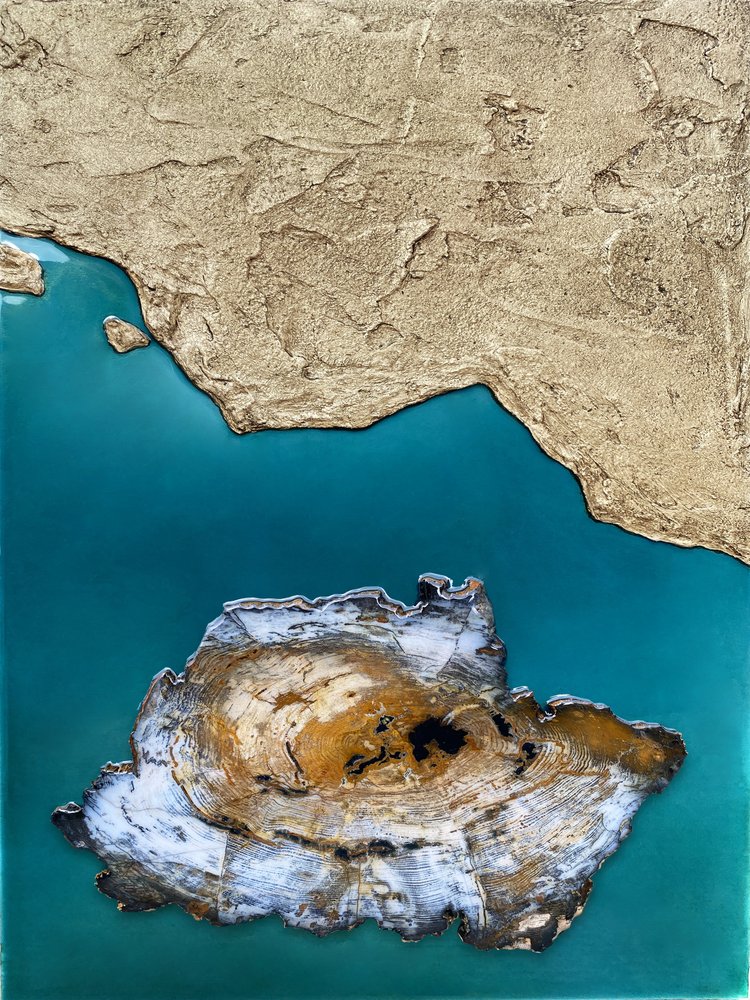 Petrified Island Coast by Alyson Storms