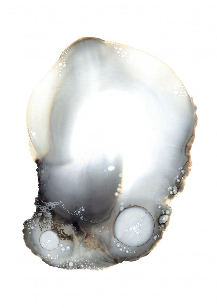 Specimen XI by Amy Louise Baker