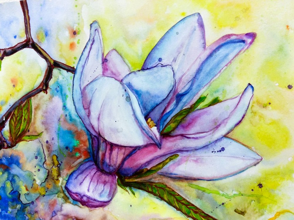 Vibrant Magnolia Bloom by Anda Bieza