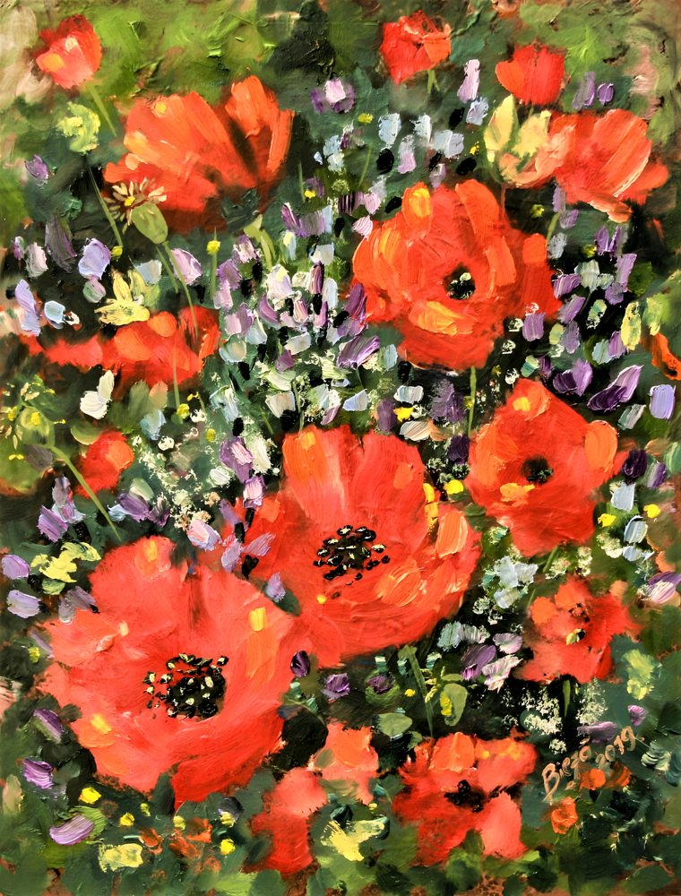 Vibrant Poppy Garden by Anda Bieza