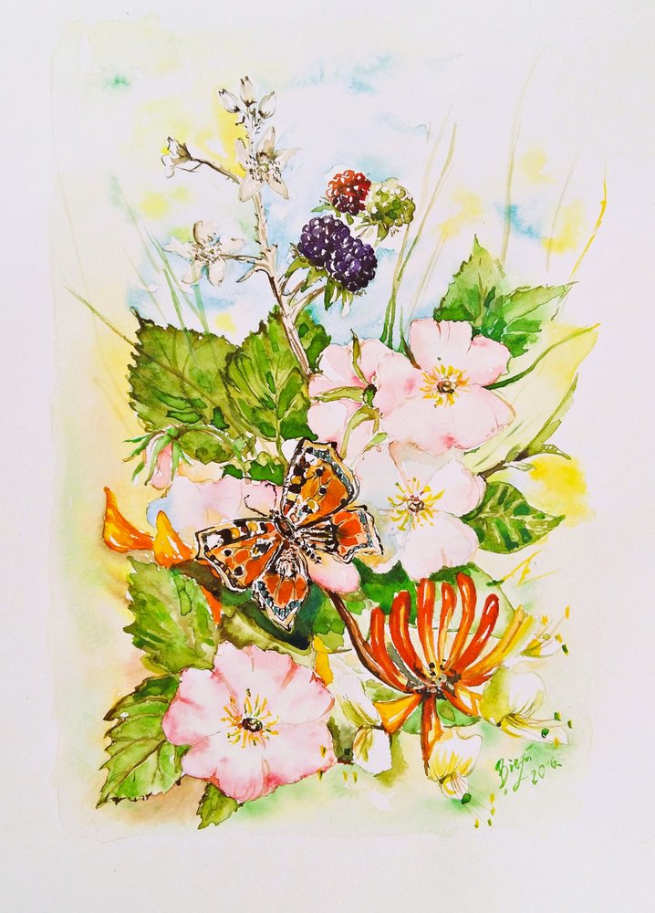 Wildflower Butterfly Garden by Anda Bieza