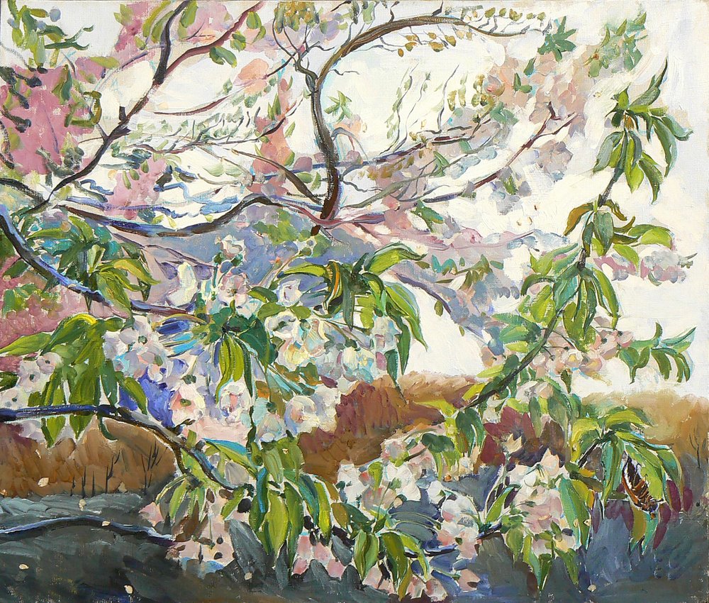 Blooming Cherry Branches by Andrii Kutsachenko