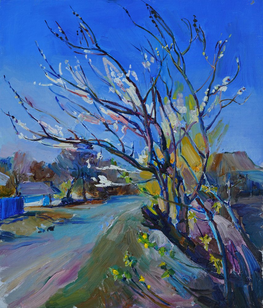 Blossoming Village Pathway by Andrii Kutsachenko