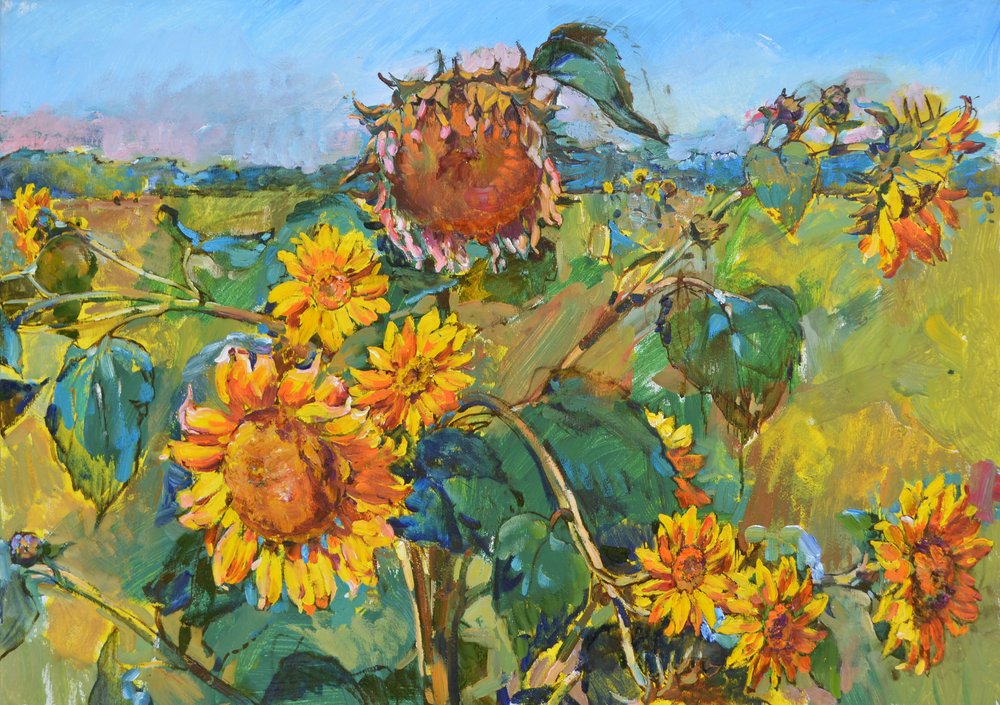 Golden Sunflower Field by Andrii Kutsachenko