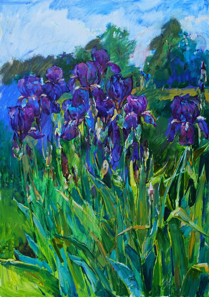 Purple Iris Garden by Andrii Kutsachenko