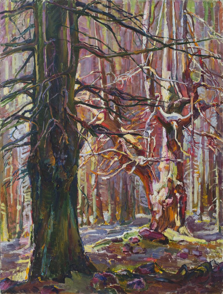 Sunlit Winter Woods by Andrii Kutsachenko