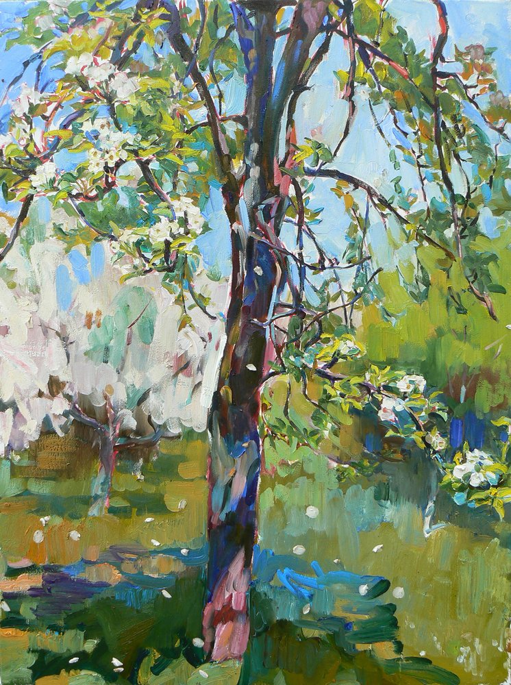 Sunny Spring Blossoms by Andrii Kutsachenko