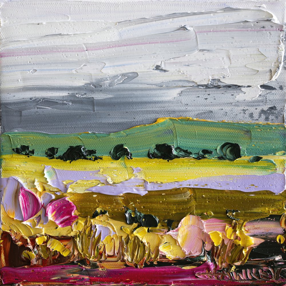 Vibrant Countryside Fields by Angela Hawkey