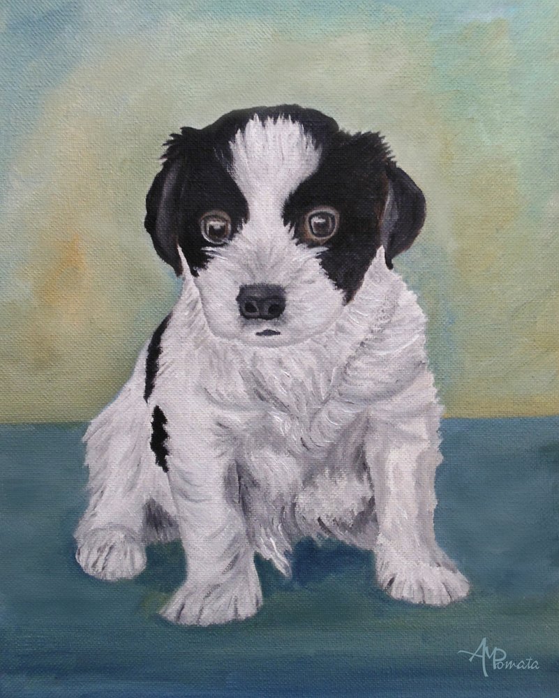 Adorable Fluffy Puppy by Angeles M. Pomata