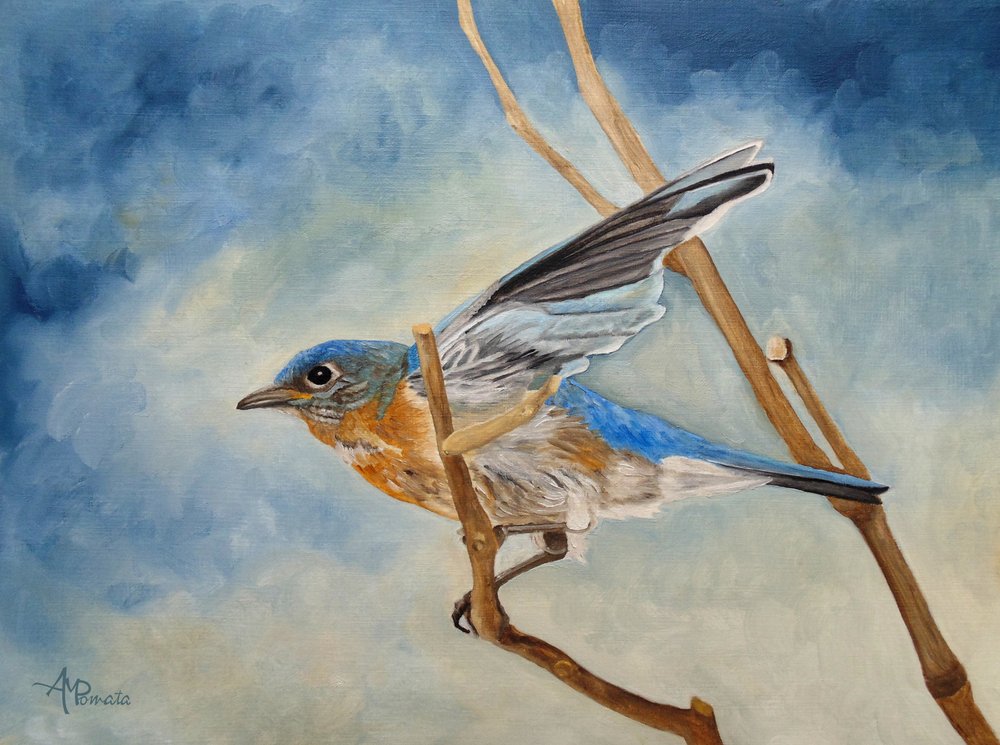 Bluebird Takes Flight by Angeles M. Pomata