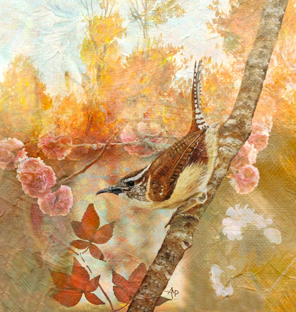 Carolina Wren in Autumn by Angeles M. Pomata
