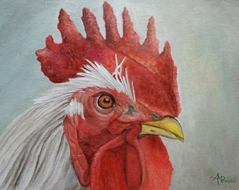 Colorful Rooster Head by Angeles M. Pomata