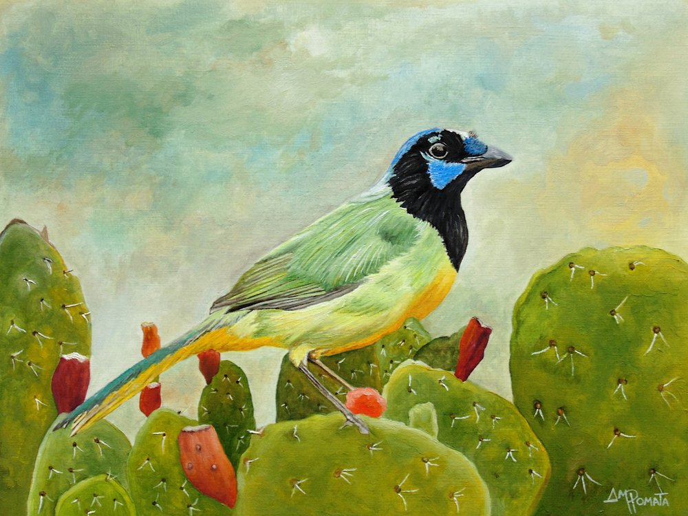 Green Jay On Cactus by Angeles M. Pomata
