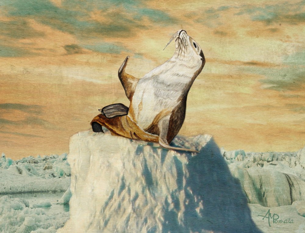 Greetings From the Arctic by Angeles M. Pomata