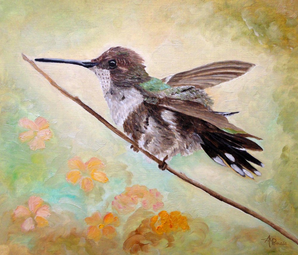 Hummingbird on Branch by Angeles M. Pomata