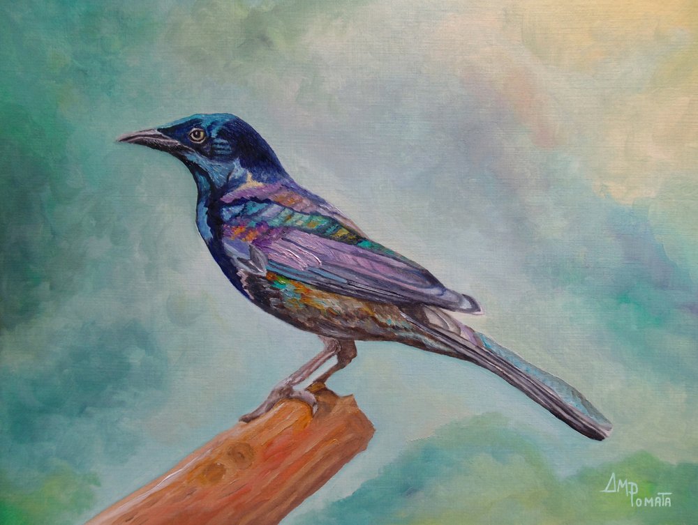 Iridescent Perched Bird by Angeles M. Pomata