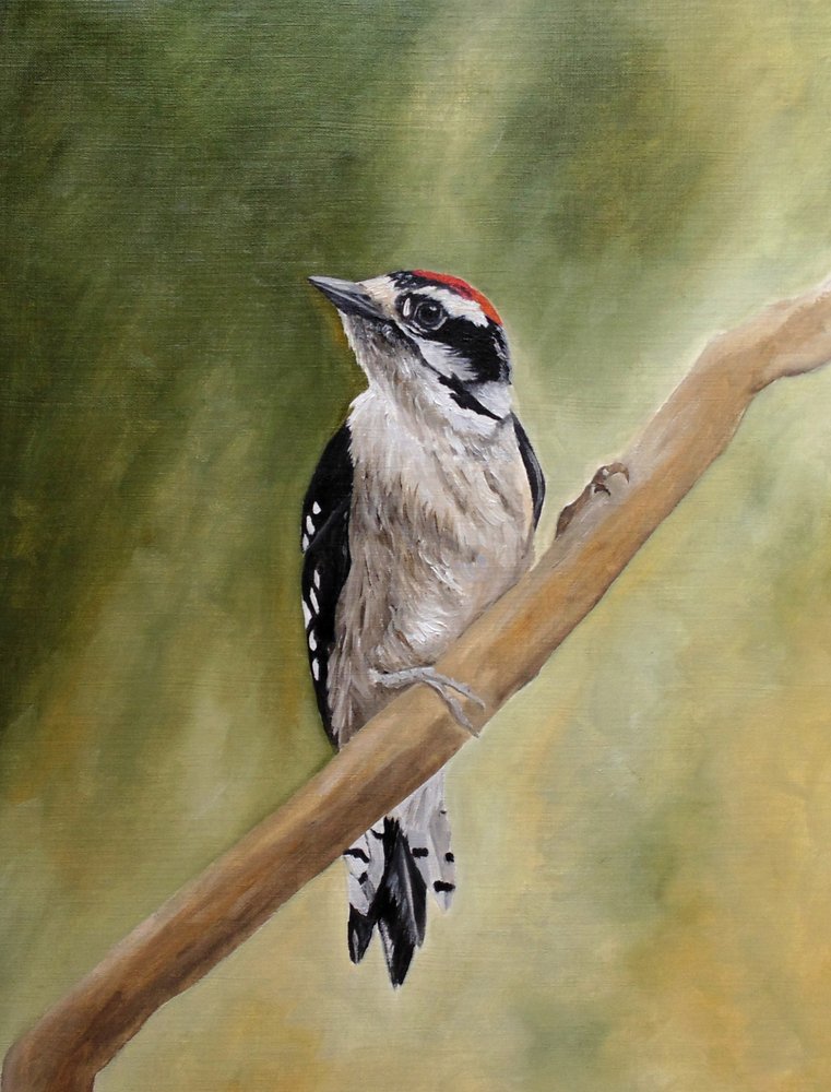 Male Woodpecker Perched by Angeles M. Pomata