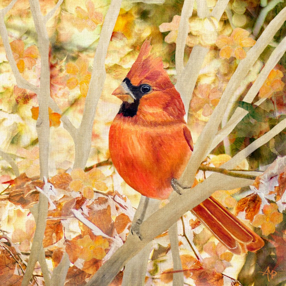 Red Cardinal Autumn Leaves by Angeles M. Pomata