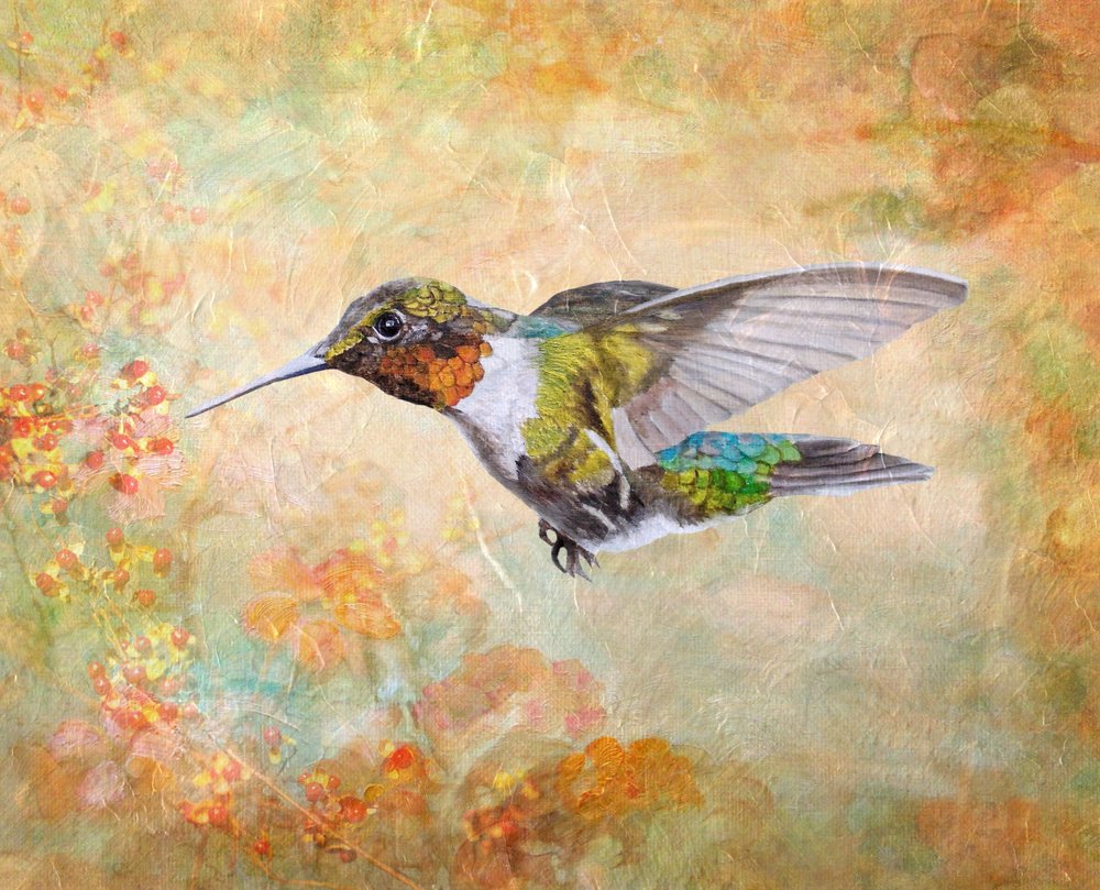 Ruby Throated Hummingbird by Angeles M. Pomata