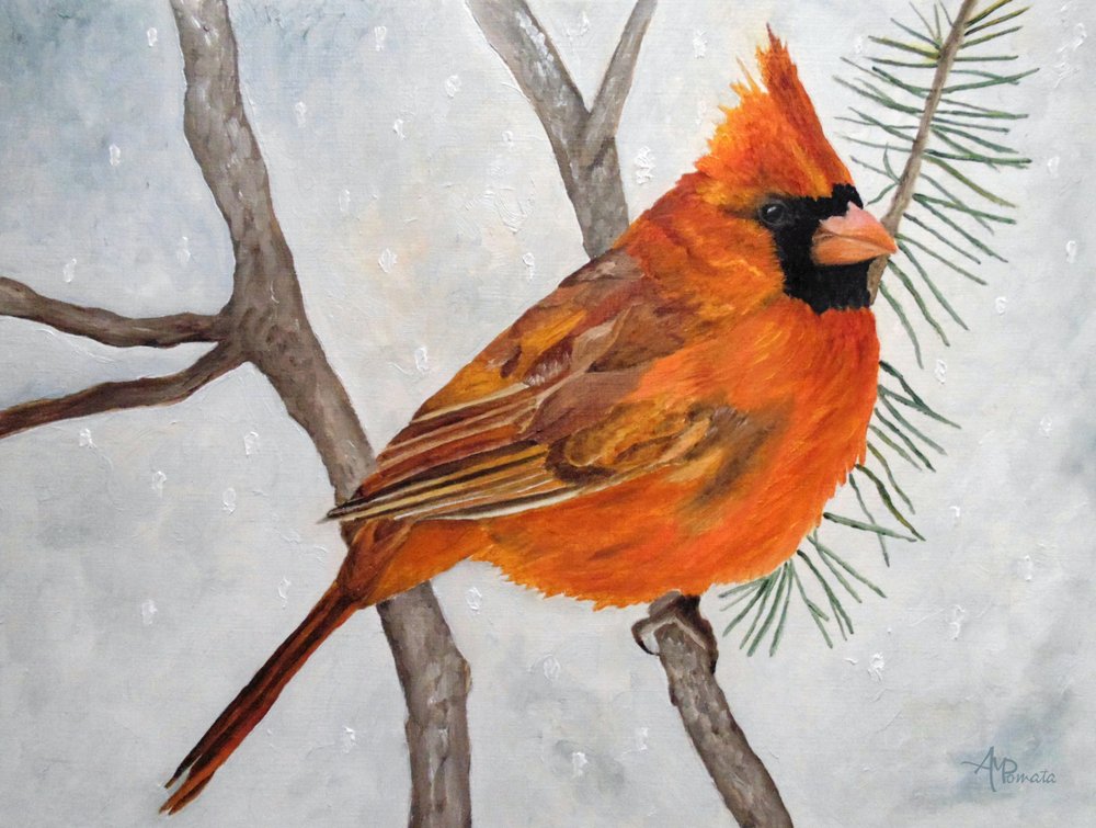 Snowy Red Cardinal by Angeles M. Pomata