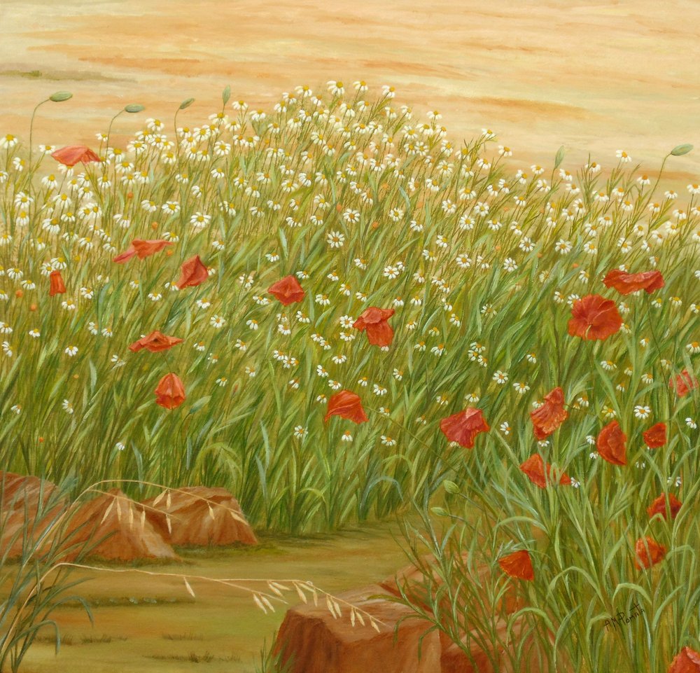 Summer Poppies Daisy Field by Angeles M. Pomata