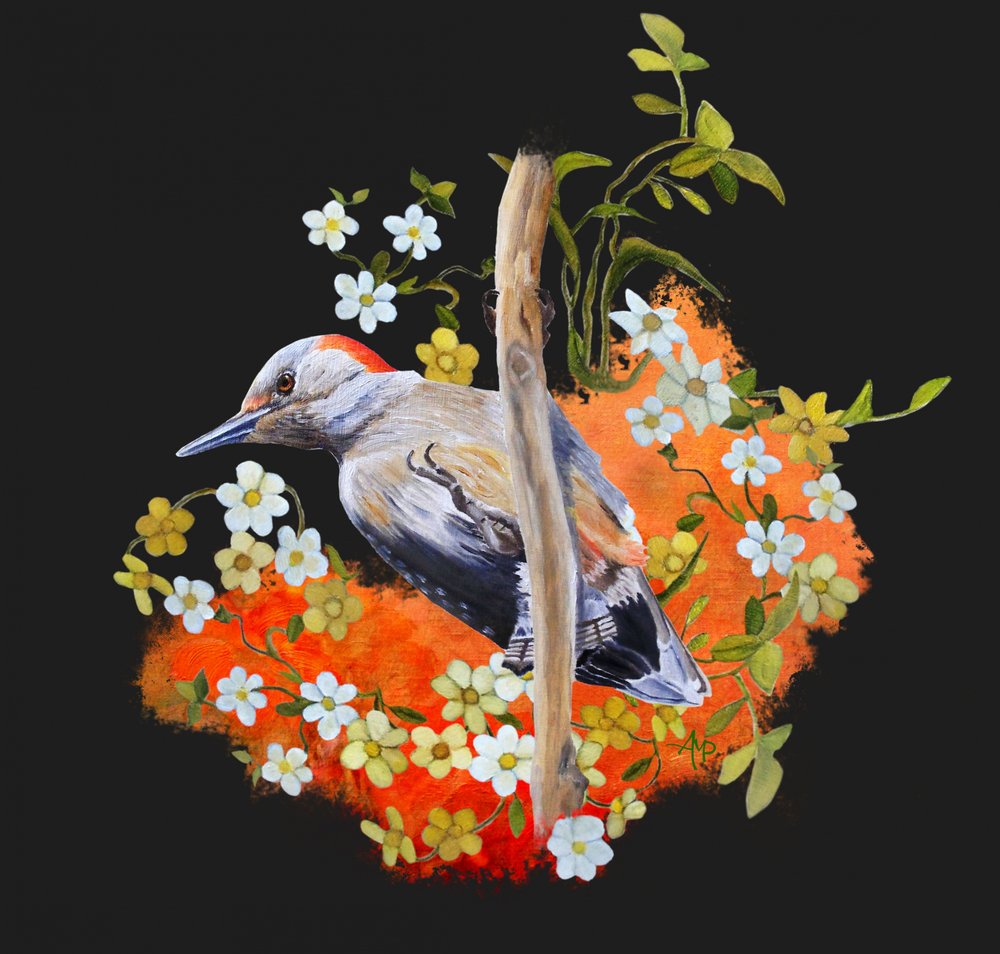 Vibrant Woodpecker Bloom by Angeles M. Pomata