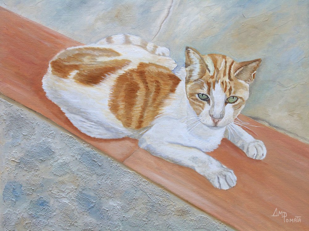 Watchful Orange Tabby by Angeles M. Pomata