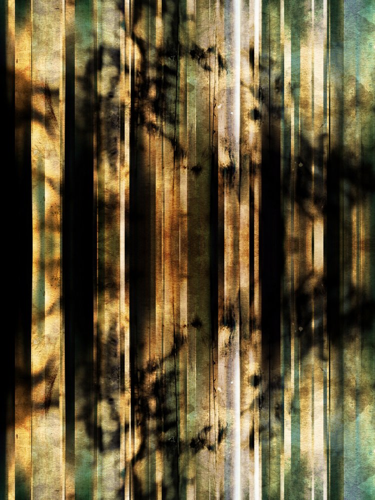 Abstract Forest Shadows by Angelo Cerantola