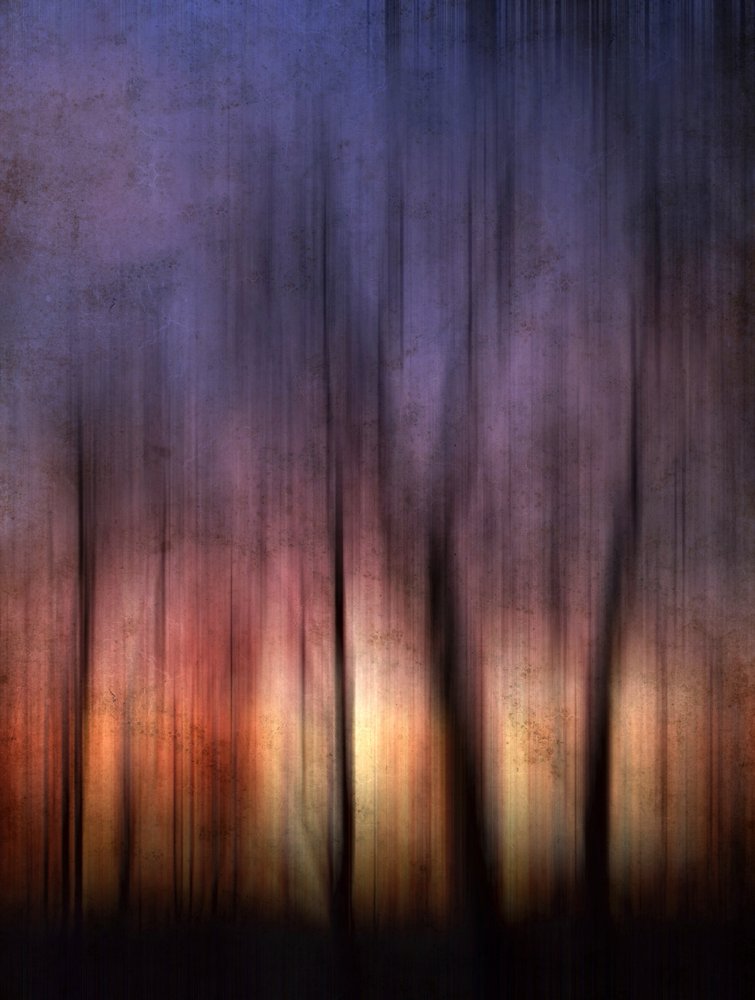 Abstract Forest Sunset by Angelo Cerantola