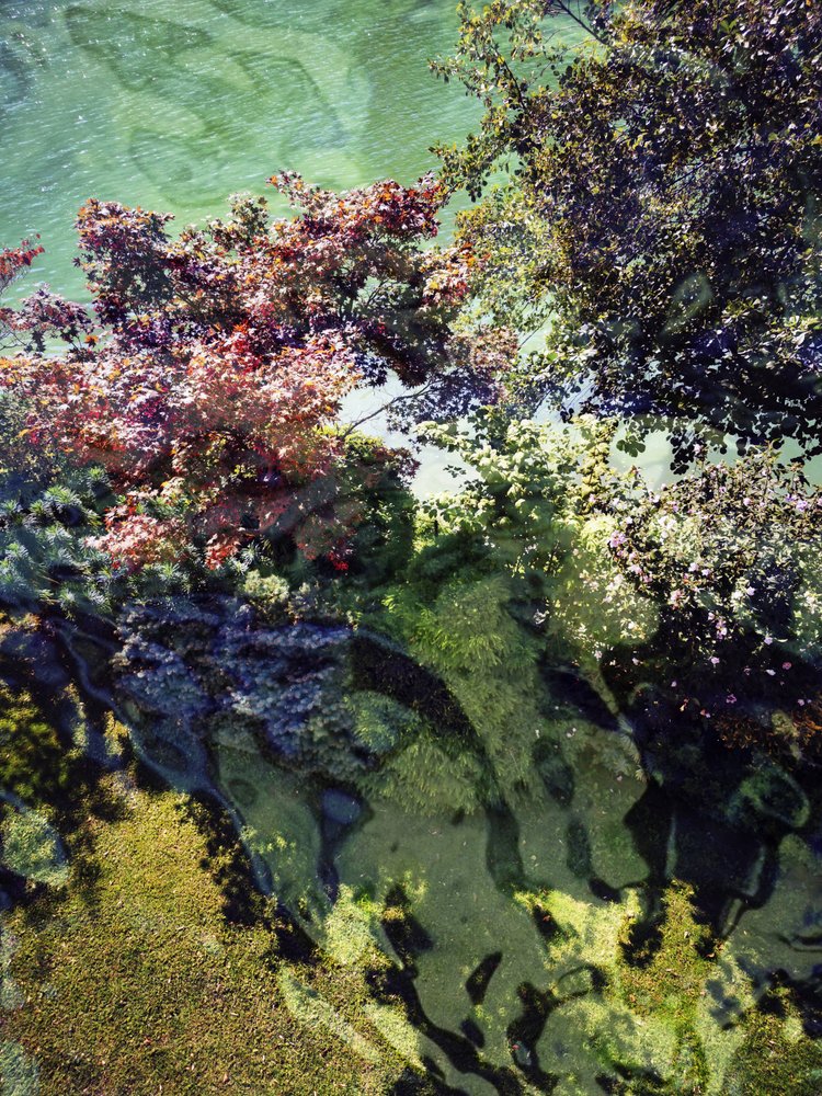 Autumn Water Reflections by Angelo Cerantola