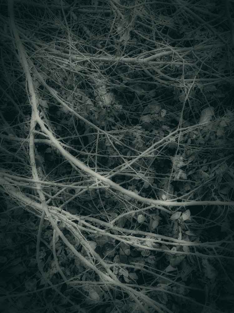 Gothik (6) by Angelo Cerantola