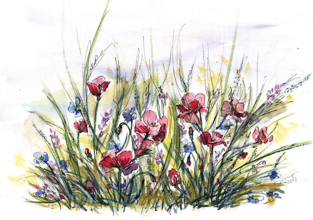 Vibrant Poppy Meadow by Aniko Hencz