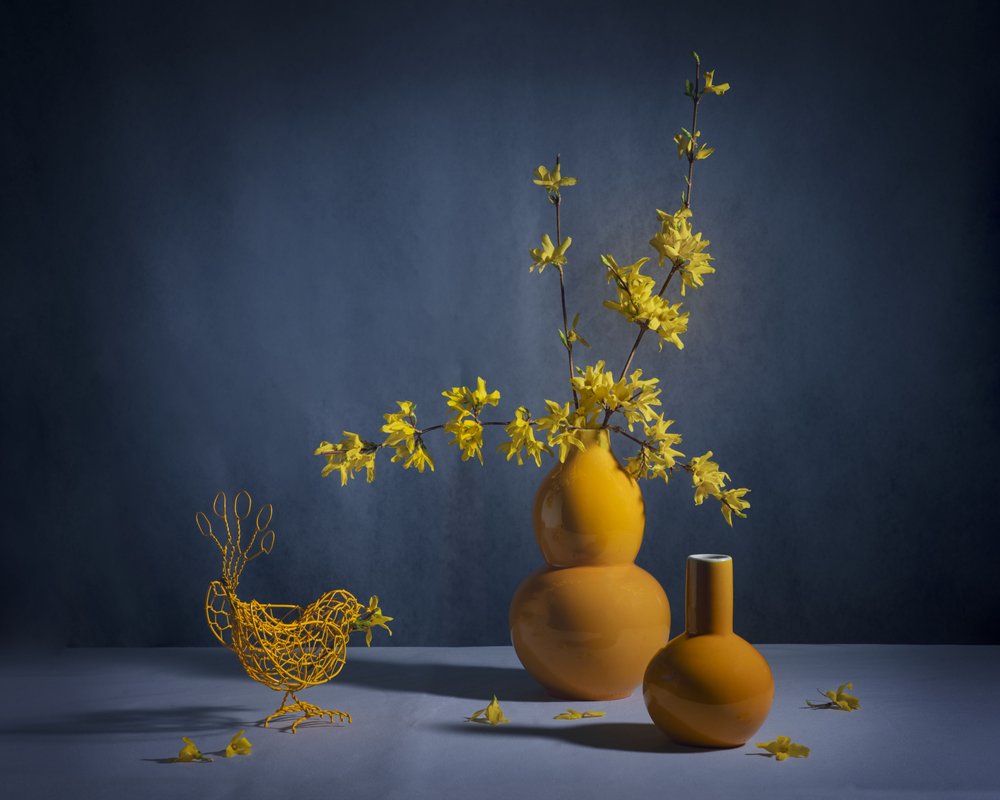 Golden Forsythia Still Life by Anna Qu