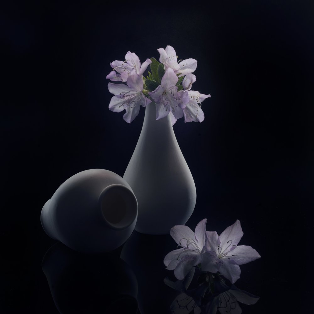 Moody Flowers and Vases by Anna Qu
