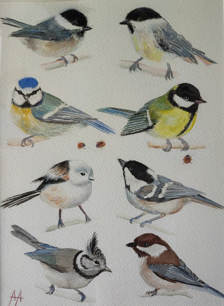 Charming Garden Tits by Annette Armitage