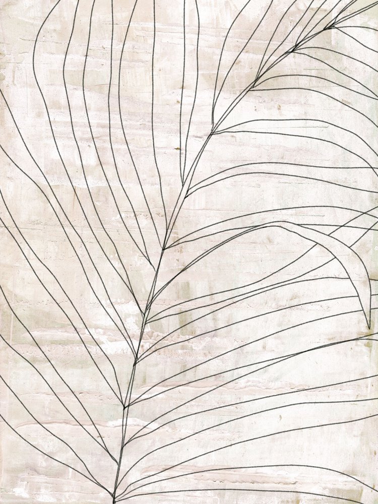 Minimalist Botanical Lines by Annick