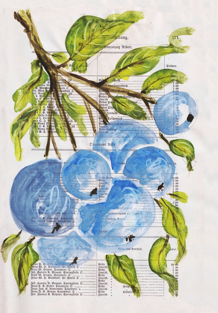 Painted Blueberries on Paper by Annick