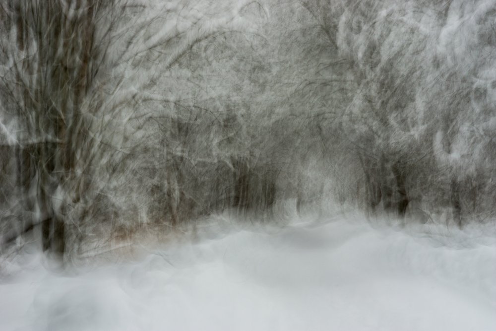 Dreamy Snowy Path by Arne Östlund