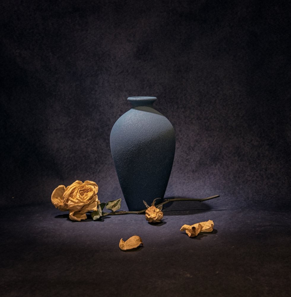 Dark Blue Rose Still Life by Betty Liu