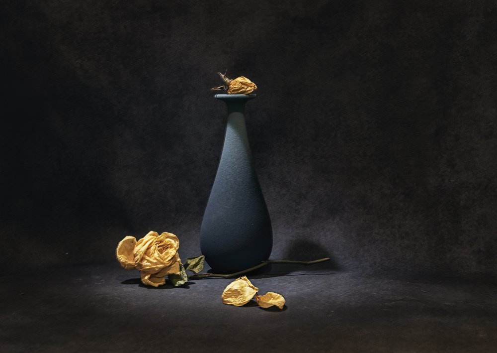 Melancholy Dried Roses by Betty Liu