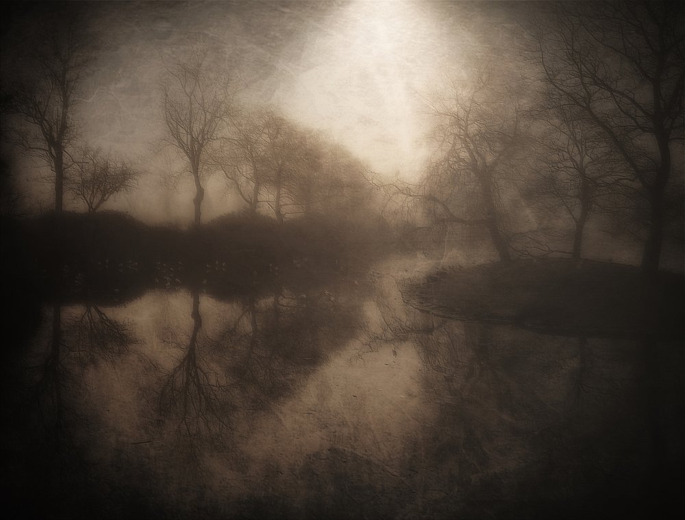 Misty Forest Reflection by Bill Eiffert