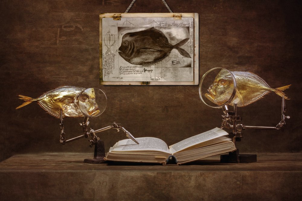 Curious Fish Scholars by Brig Barkow
