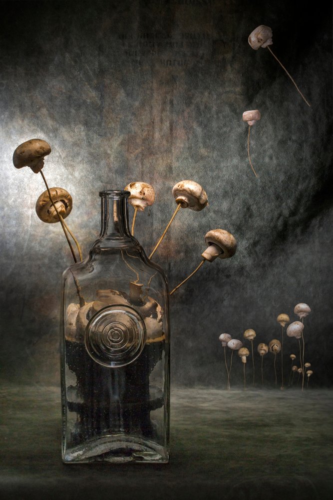 Dark Mushroom Fantasy by Brig Barkow