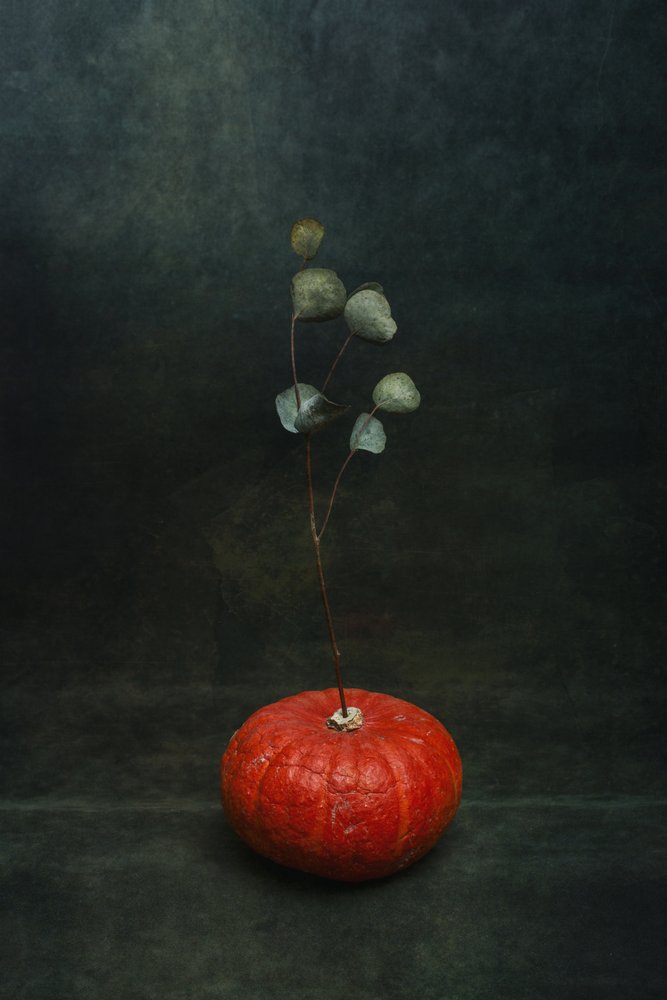 Moody Pumpkin Eucalyptus by Brig Barkow